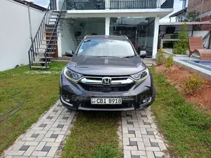 Honda CRV 2019 SUV (Used)