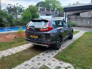 Honda CRV 2019 SUV (Used)
