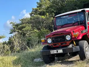 Toyota Land Cruiser Bj42 1985 SUV (Used)