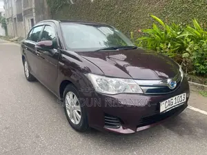 Toyota Axio G Grade 2015 Car (Used)