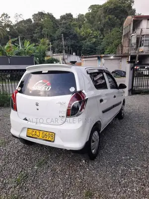 Suzuki Alto 2015 Car (Used)