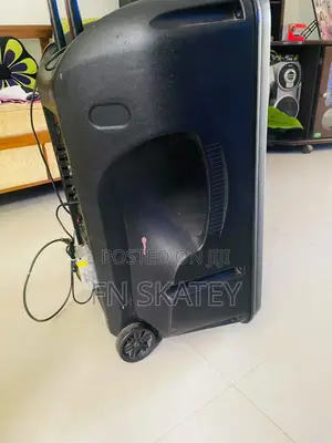 Asian 1200w High Power Trolley Speaker