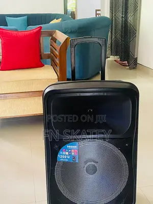Asian 1200w High Power Trolley Speaker