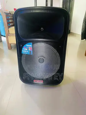 Asian 1200w High Power Trolley Speaker