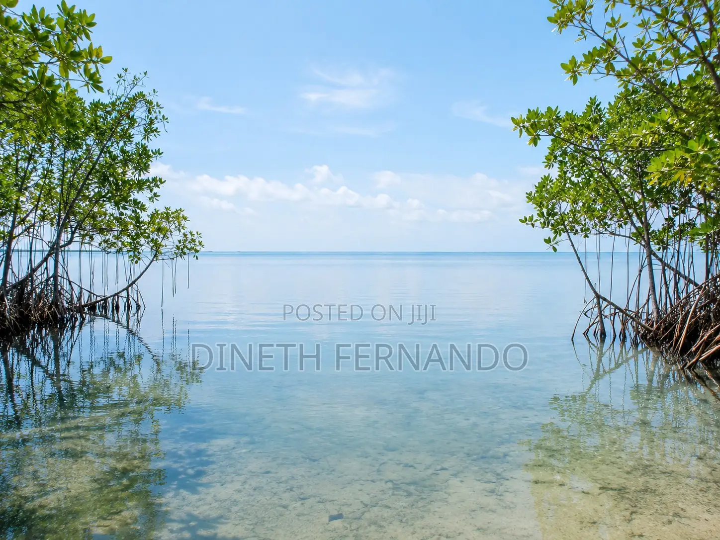 101 Perch Lagoon Side Land for Sale