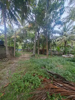 101 Perch Lagoon Side Land for Sale