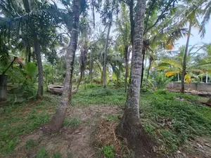 101 Perch Lagoon Side Land for Sale