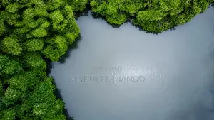44 Perch Lagoon Side Land for Sale in Negombo