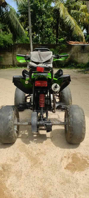 Hero 2010 Green