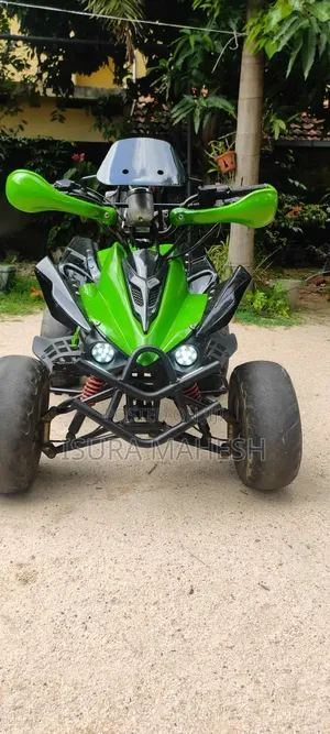 Hero 2010 Green