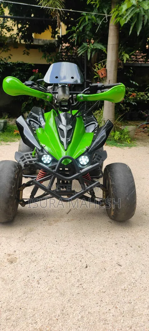 Hero 2010 Green