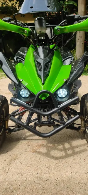 Hero 2010 Green