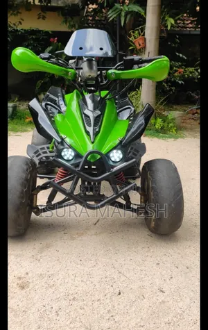 Hero 2010 Green