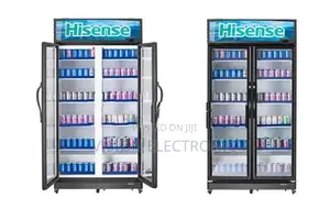 Hisense Double Door Bottle Cooler