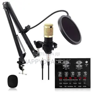 V8 Sound Card With Bm800 Mic
