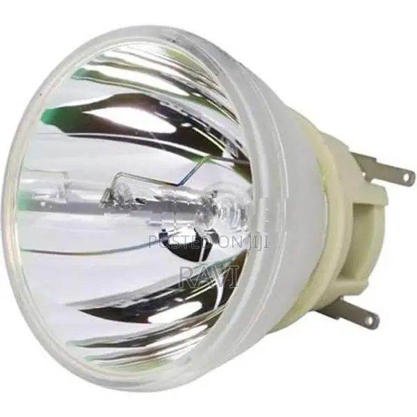 projector bulbs