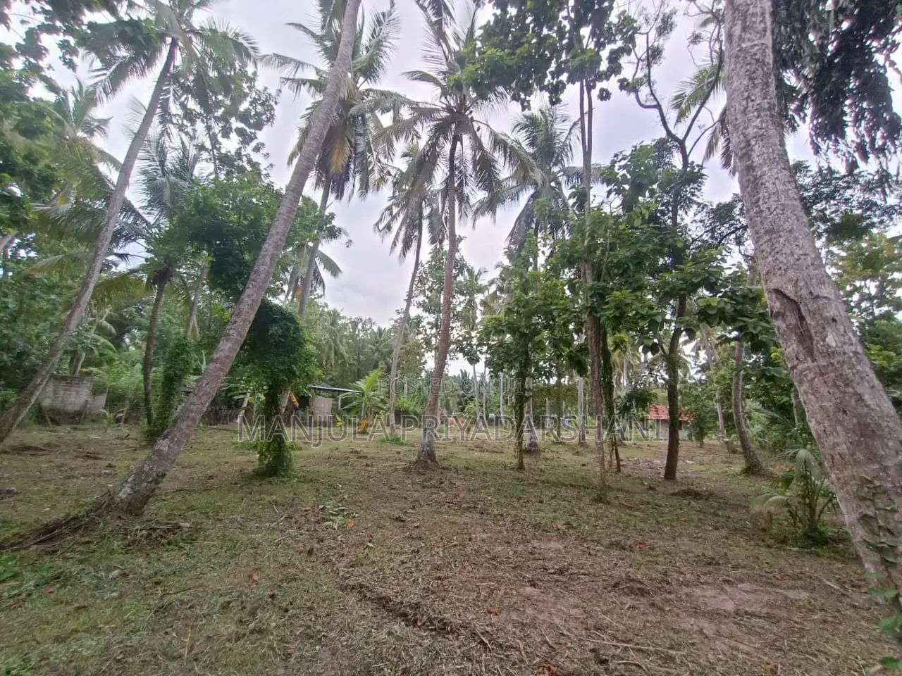 Land for Sale in Marawila