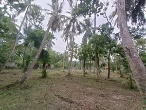 Land for Sale in Marawila
