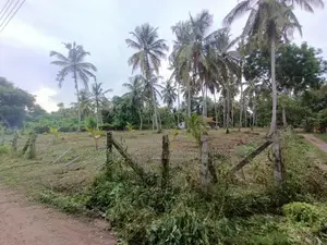 Land for Sale in Marawila