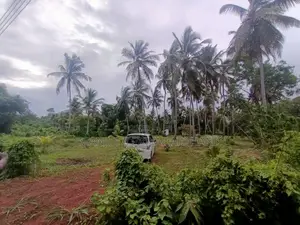 Land for Sale in Marawila