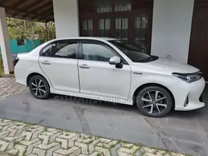 Toyota Axio 2018 Car (Used)