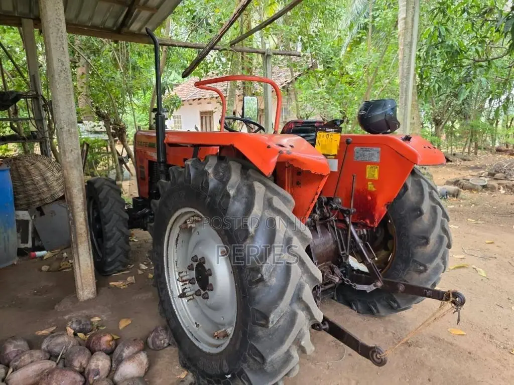 TAFE 45DI 2019 Tractor (Used)