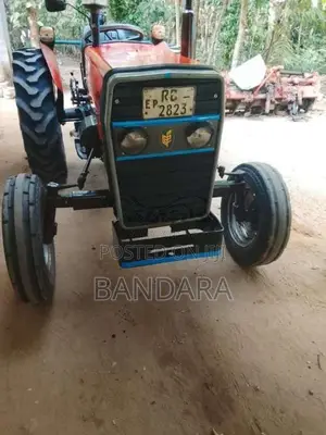 TAFE 45DI 2009 Tractor (Used)