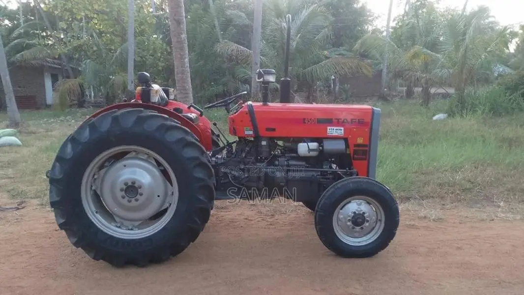TAFE 45DI 2024 Tractor (Used)