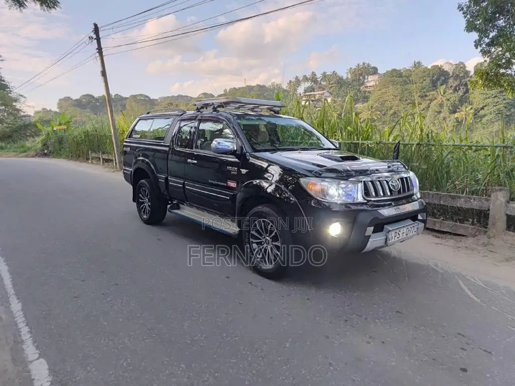 Toyota Hilux Vigo 2010 Pickup (Used)