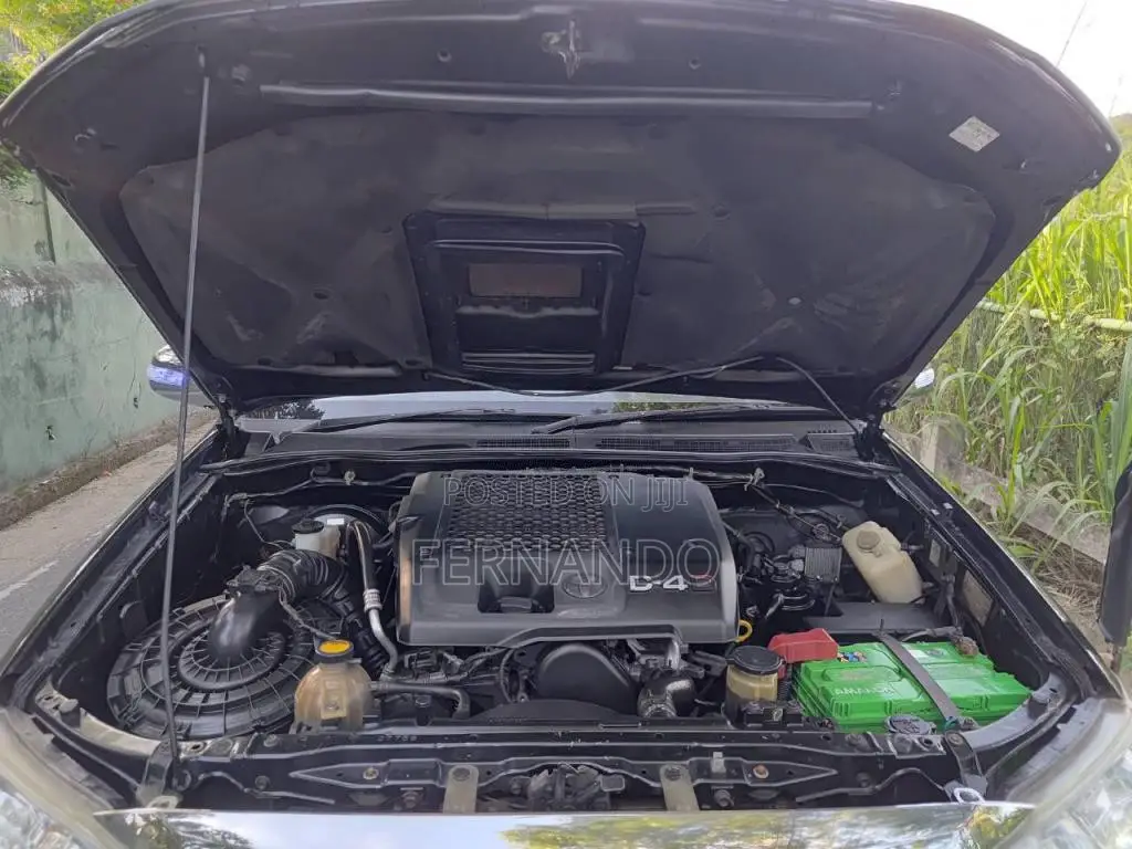 Toyota Hilux Vigo 2010 Pickup (Used)