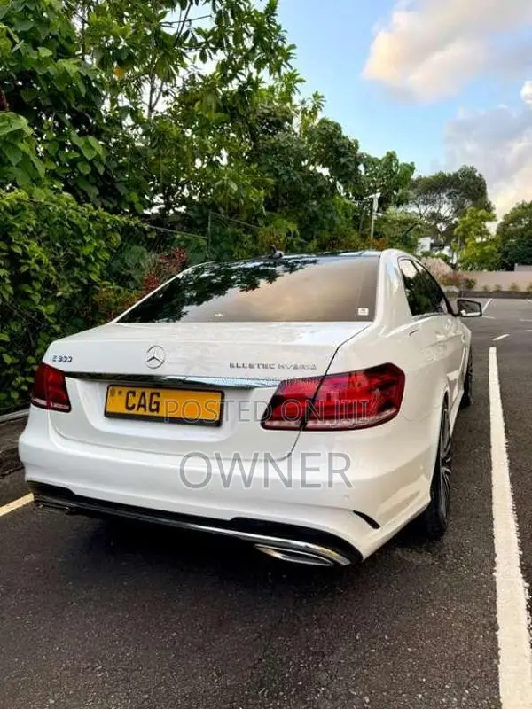 Mercedes-Benz Bluetech Hybrid 2014 Car (Used)