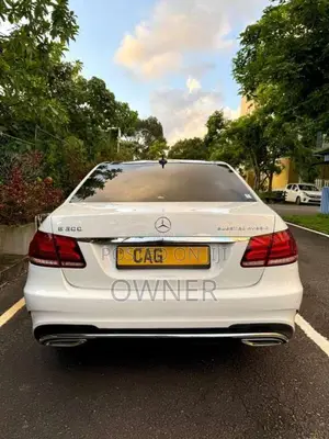 Mercedes-Benz Bluetech Hybrid 2014 Car (Used)