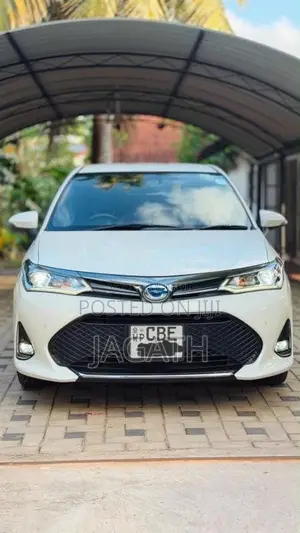 Toyota Axio WXB 2018 Car (Used)