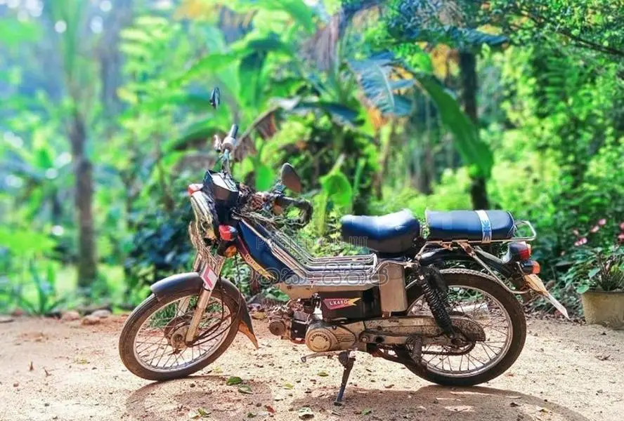 Loncin LX 48Q 2006