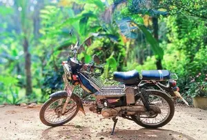 Loncin LX 48 2006