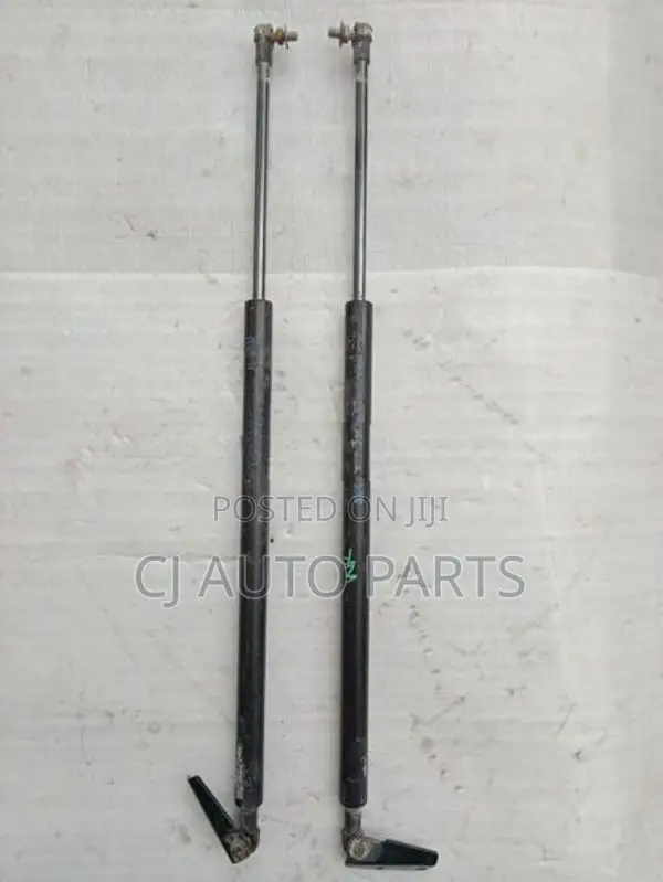Nissan Wingroad Y12 Dicky Shock Pair