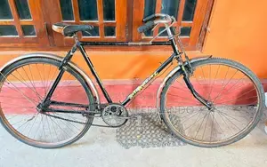 Standard Bicycle