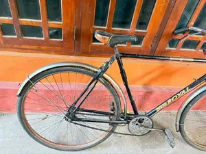 Standard Bicycle