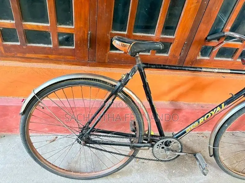Standard Bicycle
