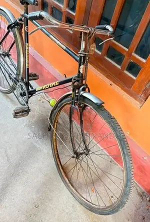 Standard Bicycle
