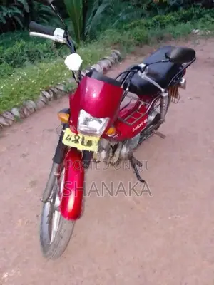 Singer Safari 48cc 2018