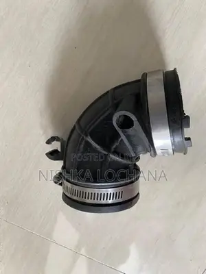 Air Intake Horse