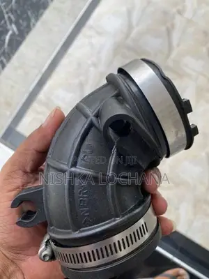 Air Intake Horse