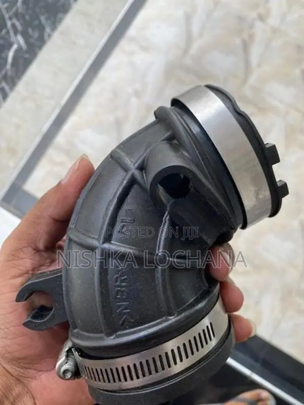 Air Intake Horse