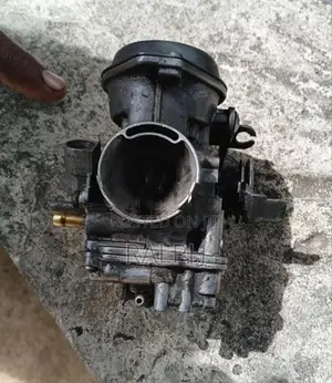 Discovery 135 Carburetor
