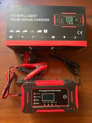 Vehicle Battery Charger