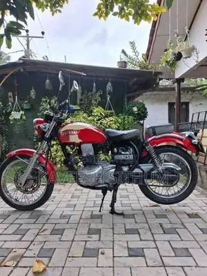Kawasaki Estrella 2010