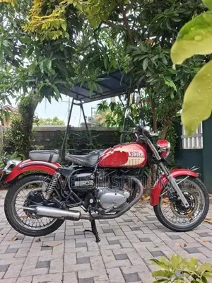 Kawasaki Estrella 2010