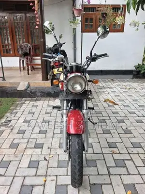 Kawasaki Estrella 2010