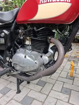 Kawasaki Estrella 2010